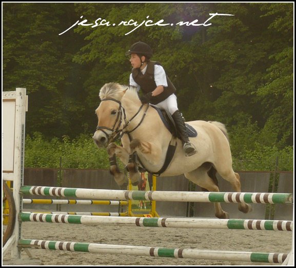 Zavody_Hradec_Pony